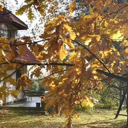 Hotel Ochlipowka. Dom Na Orawie Zubrzyca Gorna