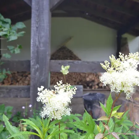 Hotel Ochlipowka. Dom Na Orawie